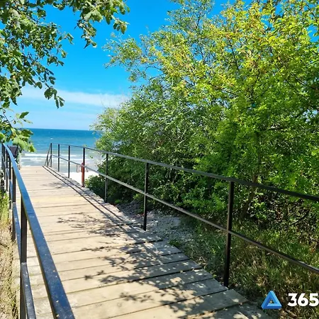 365pam - Przystan Na Rozanej * Sianozety