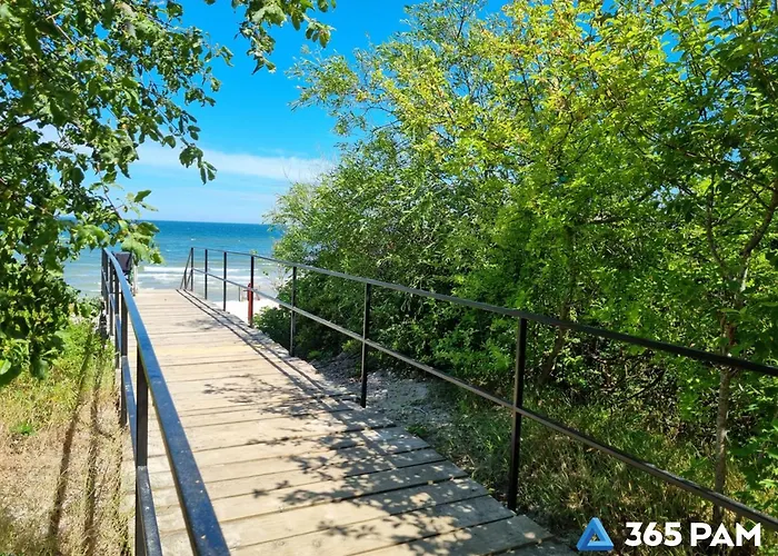 365pam - Przystan Na Rozanej * Sianozety